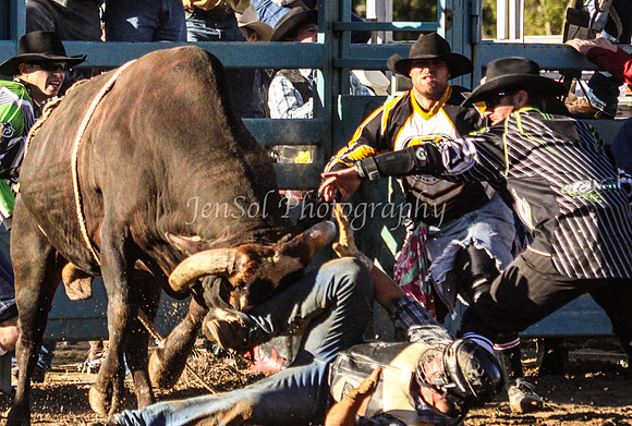 Tumut2_0433