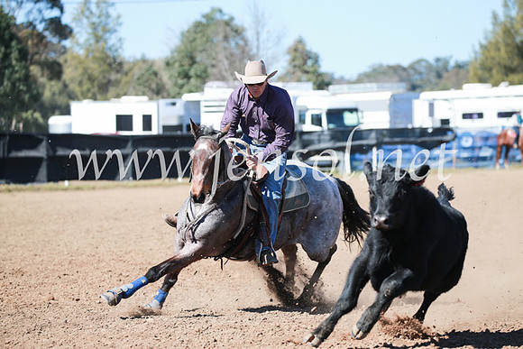 CCCampdraft2016_5686
