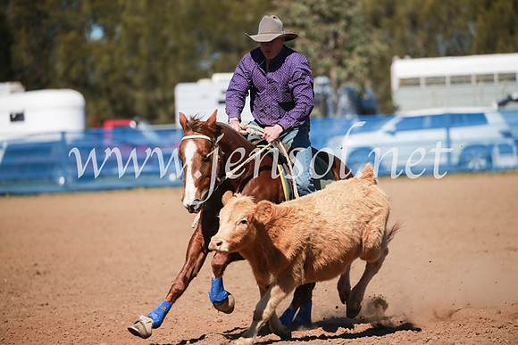 CCCampdraft2016_5861
