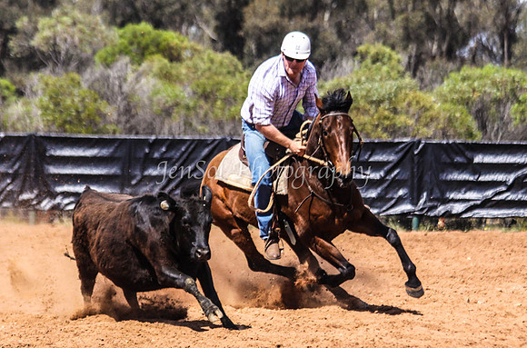 Wwyalong0433