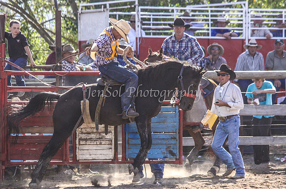 Corryong09 447