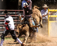 Taralga1_0354