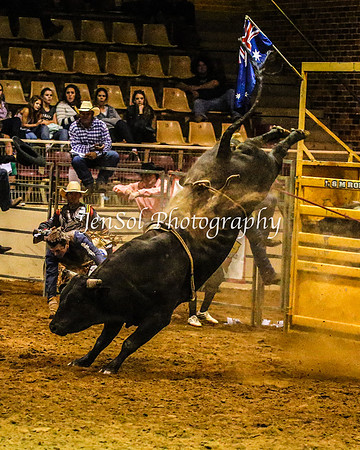 RealDealRodeoFeb2014_2077