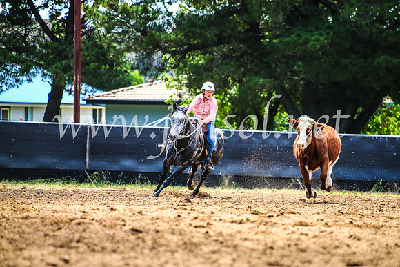 OrangeCampdraft2017_4635