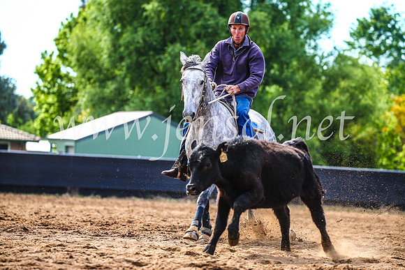 OrangeCampdraft2017_4070