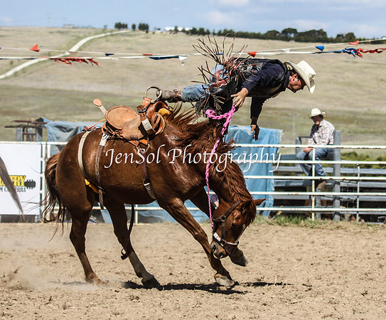Bungendore2011_1316