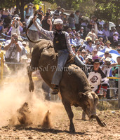 Taralga1_0508