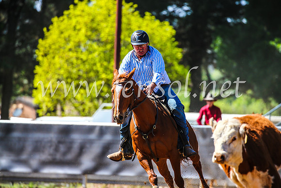 OrangeCampdraft2017_4287