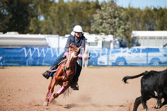 CCCampdraft2016_5585