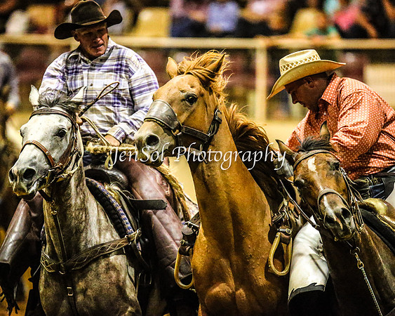 RealDealRodeoFeb2014_1857