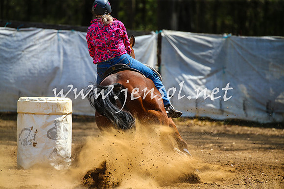CooranbongSunTwo_3437