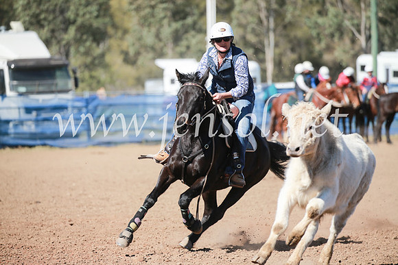 CCCampdraft2016_6067