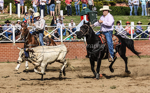 IMG_0495