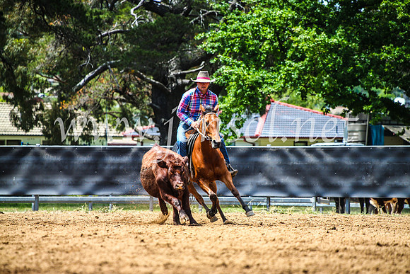 OrangeCampdraft2017_4808
