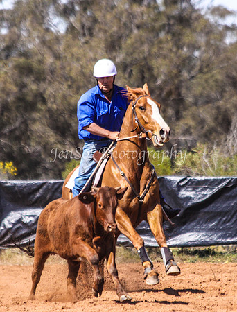 Wwyalong0359