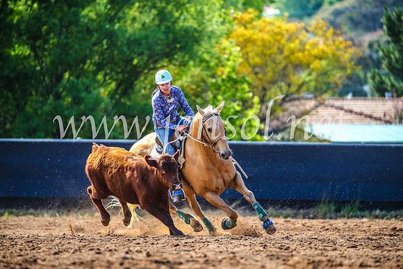 OrangeCampdraft2017_4205