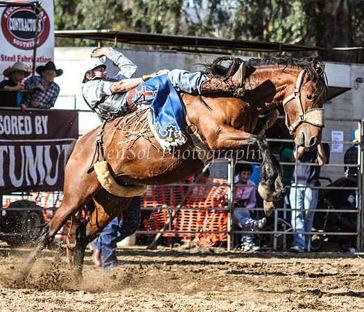 Tumut2_0210