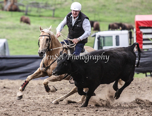 CabSun_0009