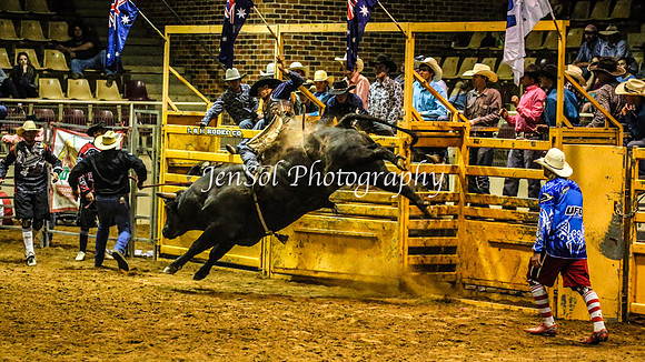 RealDealRodeoFeb2014_2070