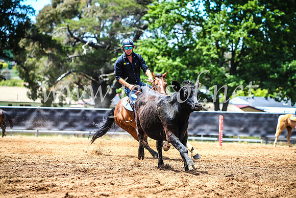 OrangeCampdraft2017_4698