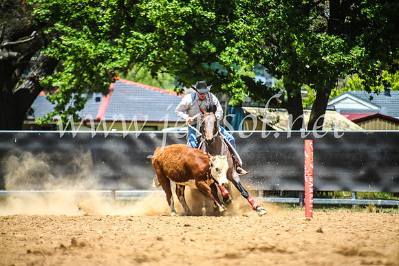 OrangeCampdraft2017_5259