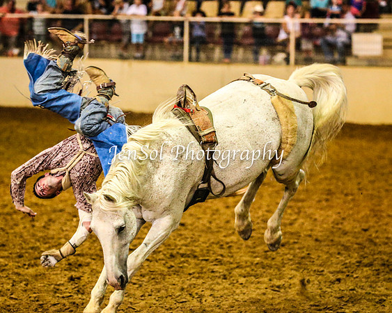 RealDealRodeoFeb2014_0731