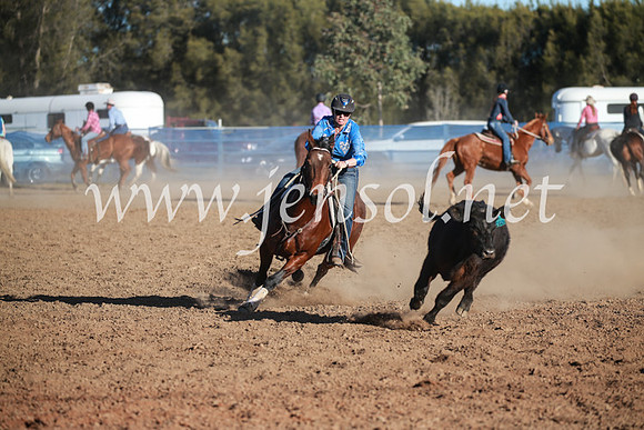 CCCampdraft2016_6626