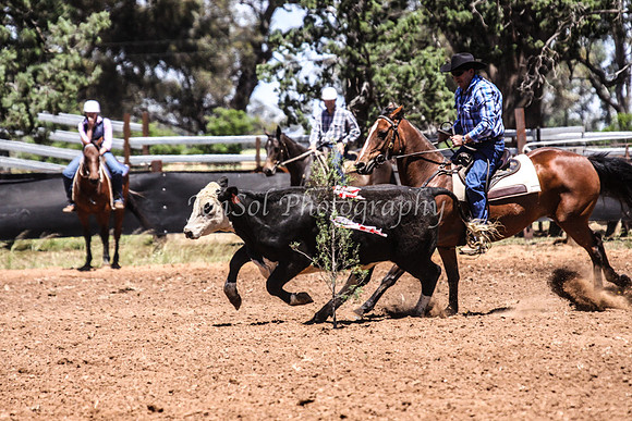 TubbulSat_061110_0419