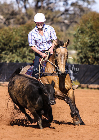 Wwyalong0146