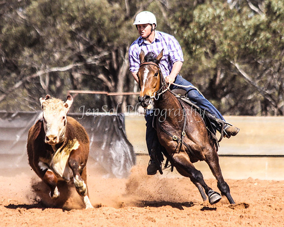 Wwyalong0805