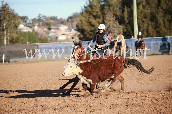 CCCampdraft2016_6740