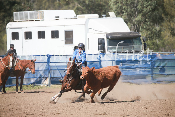 CCCampdraft2016_6130