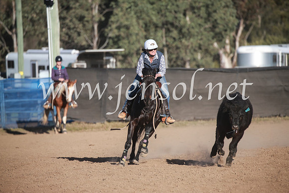 CCCampdraft2016_6646