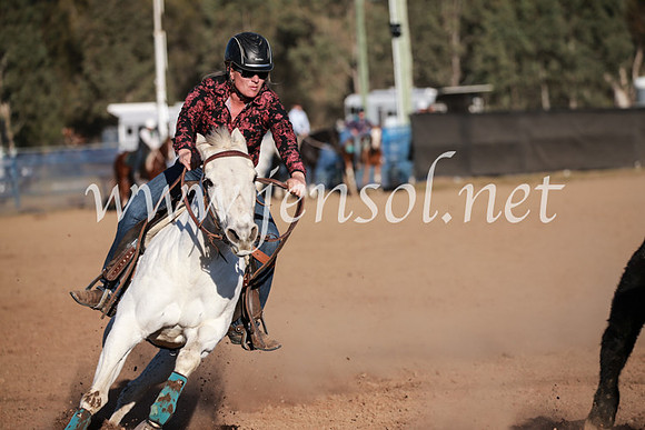 CCCampdraft2016_6555