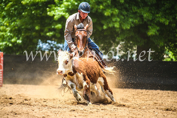 OrangeCampdraft2017_5216