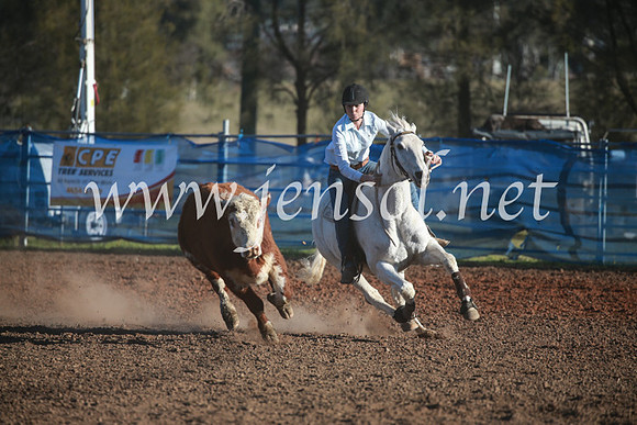 CCCampdraft2016_6515