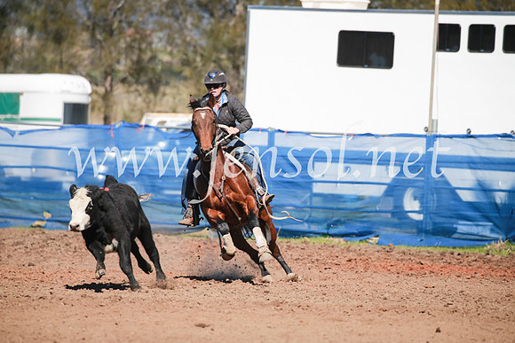 CCCampdraft2016_5482