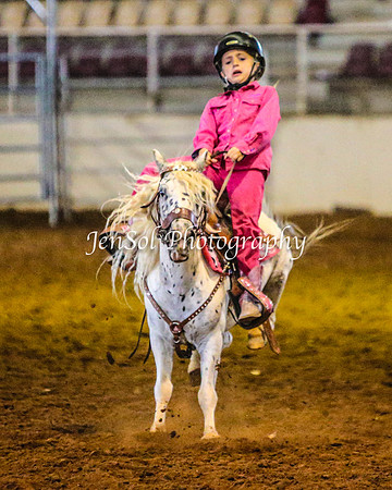 RealDealRodeoFeb2014_0081