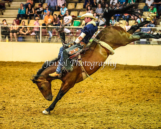 RealDealRodeoFeb2014_0750