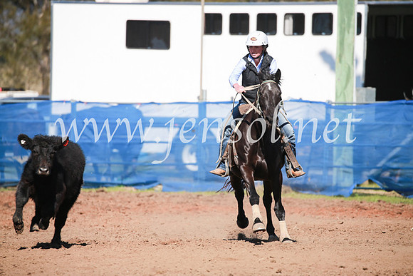 CCCampdraft2016_5385