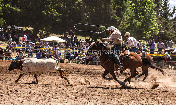Taralga1_0314