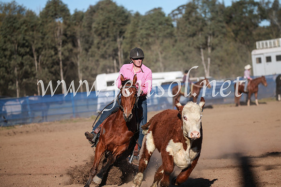 CCCampdraft2016_6572