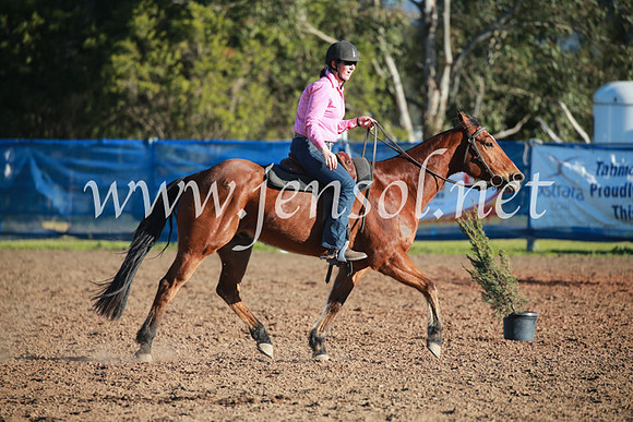 CCCampdraft2016_6612