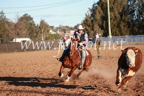 CCCampdraft2016_6899