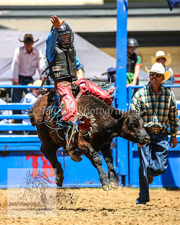 TumbarumbaRodeoNYD2025_0374