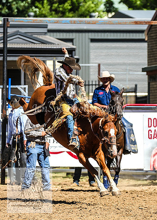 TumbarumbaRodeoNYD2025_0796