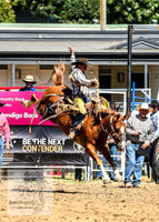 TumbarumbaRodeoNYD2025_0782