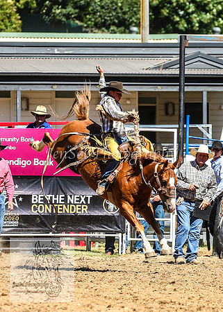 TumbarumbaRodeoNYD2025_0782