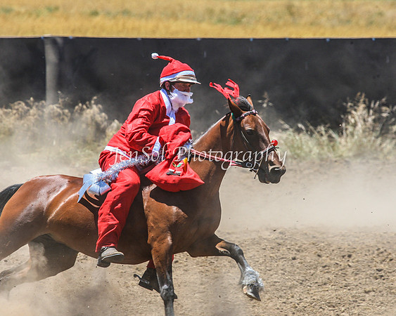 AdaminabyCampdraft2015_0458