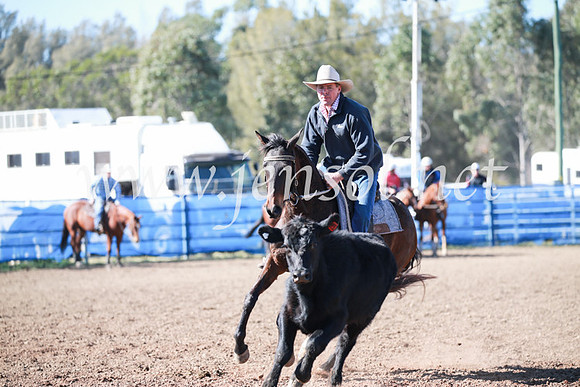 CCCampdraft2016_5314